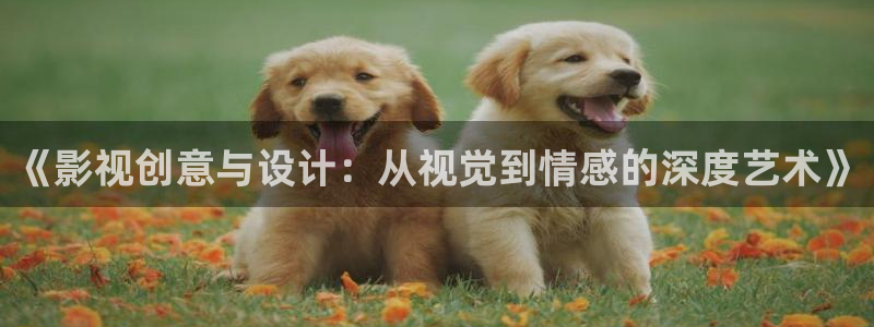 天狼影院理论电影